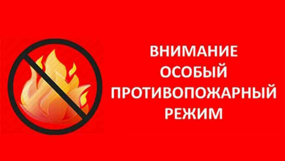 Правительство Воронежской области информирует:.